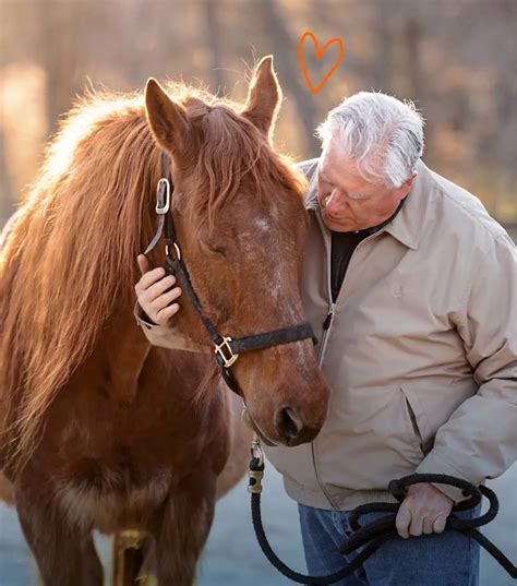 The Humane Empire: Unpacking The Aspca's 2020 Fortune