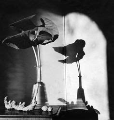 Herbert List. GERMANY. Hamburg. 1933. "Flower and shadow". Magnum Photos - Harlem Renaissance ...