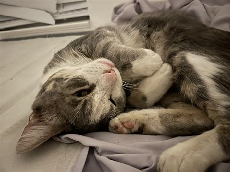 Mia on Twitter: "@SportsCenter How much am i worth? https://t.co