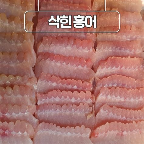 Daum 카페