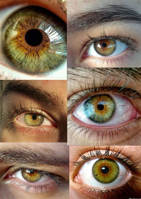 eyeshadow color for hazel green eyes 4