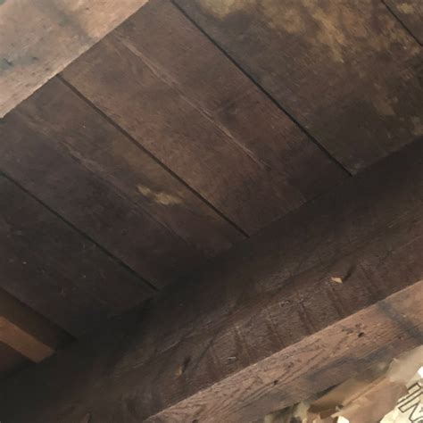 RENOVATION 2019: THE GAMEPLAN — Sparrow House NY