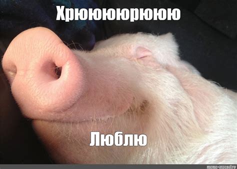 Мем: "Хрююююрююю Люблю" - Все шаблоны - Meme-arsenal.com