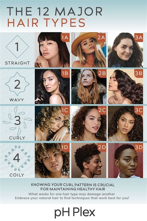 1c hair type care - Garfield Faison