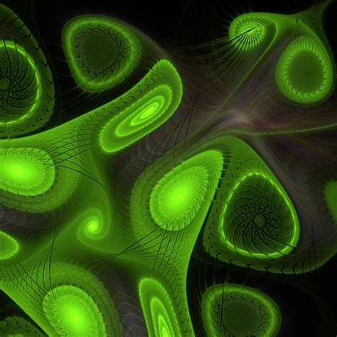 Green Gnarl 1 Free Stock Photo - Public Domain Pictures