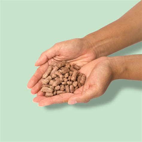 Raw Duck Morsel Treats – Little Hunter