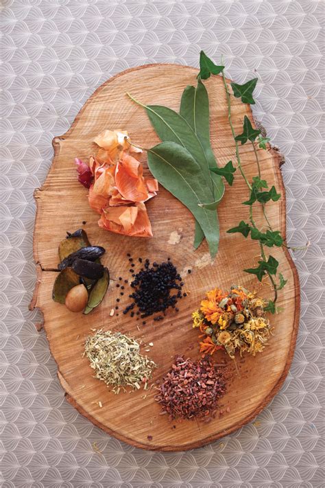 dye plants plant projects   home herbal academy