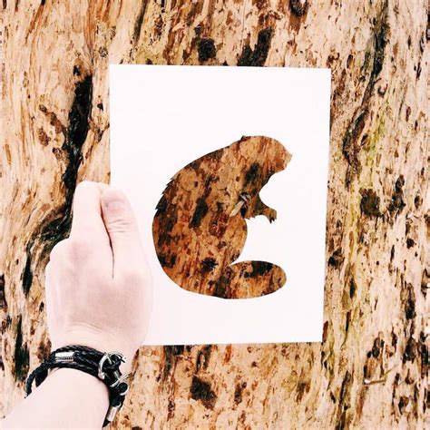 Artist Uses Natural Landscapes to Color in Cutout Silhouettes of ...