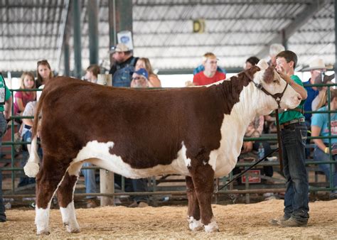 4H | SDSU Extension