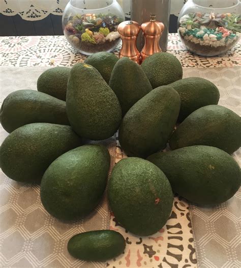 When an avocado is not ripe, are the fats and nutritional content just