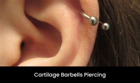 Cartilage Barbells Piercing - MasterPiercing