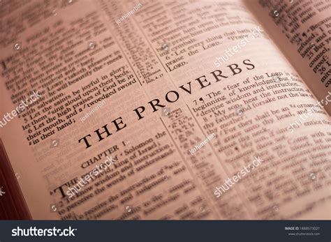 proverbs images stock  vectors shutterstock