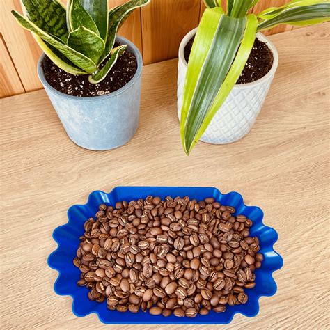 Dark Coffee Benefits Are More Powerful Than Light Roast - RYZE Superfoods