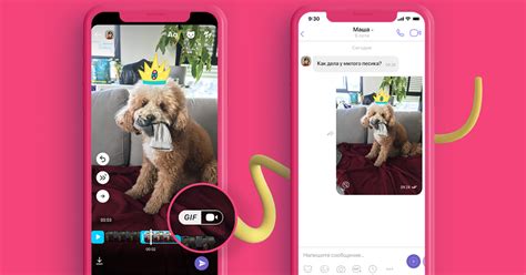 Бумеранг или реверс? Творите в жанре GIF в Viber! | Viber