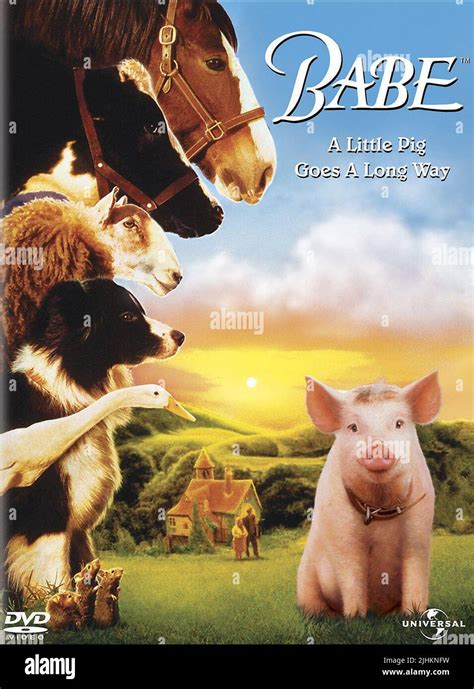film poster babe  stock photo alamy