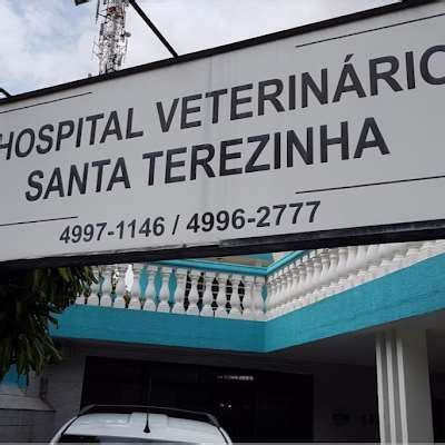 Hospital Veterinário Santa Terezinha 24h E Pet Shop - HOSPITAL VETERINÁRIO SANTA TEREZINHA 24H E PET SHOP em Santo André - SP ...