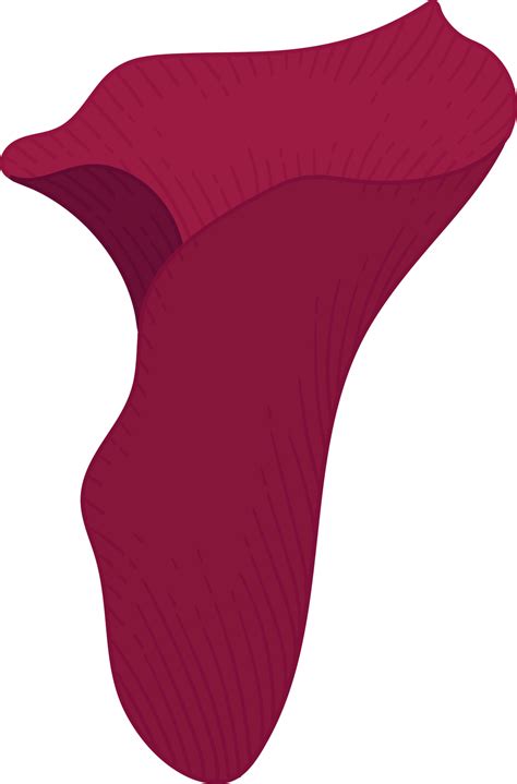 Red calla lily flower hand drawn illustration. 10172748 PNG