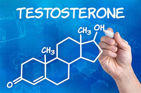 What Is Testosterone & What Does It Do? All You Need To Know ...