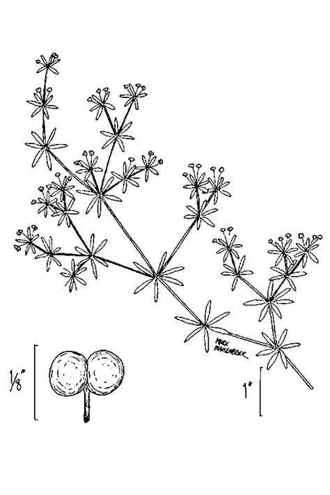Plant - GATI