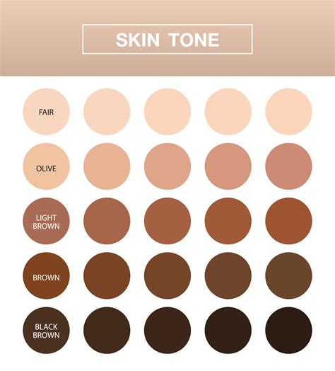 skin tone infographic, Color table chart , beauty human index, vector ...