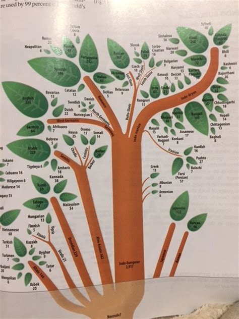 Indo-European Language Tree Diagram | Quizlet