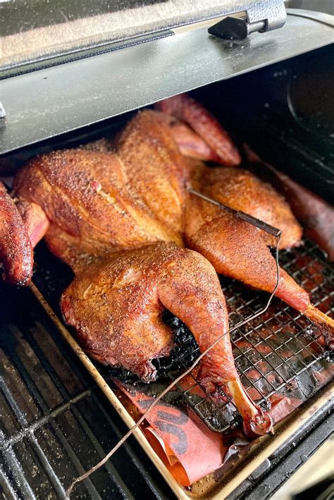 20 Must-Try Turkey Recipes for a Perfect Holiday Bird - The Virtual Caterer