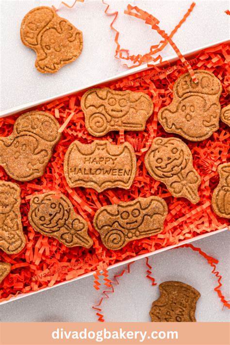 Halloween Dog Treats and Packaging Ideas