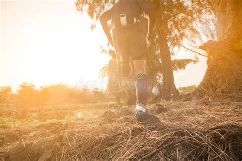 trail running   sunset stock photo image  summer sunrise