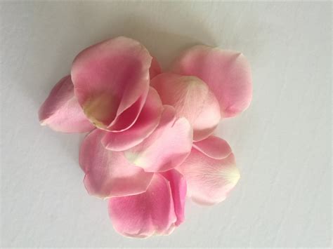 Fresh Rose Petals Premium - Amazon Flowers - Proms & Weddings