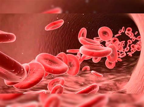 Many colors of blood red blue green violet yellow interesting facts ...