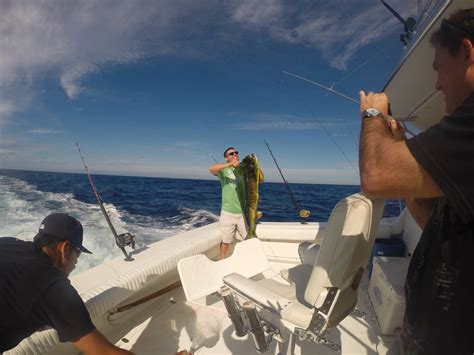 Attraction Marketing Secrets and How to Get Leads