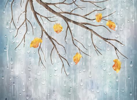 vulnerability, ice, weather, fragility, season, autumn, branches, tree