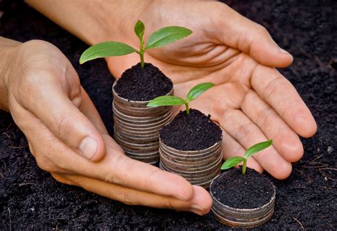 client profile fischer financial services