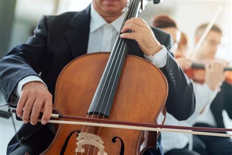 Cello player Images - Search Images on Everypixel