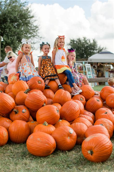 patchen tree farm and pumpkin patch 8