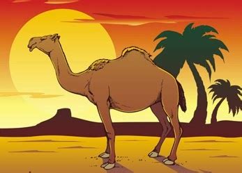 KUMPULAN GAMBAR UNTA PADANG PASIR | Gambar Onta Lucu di Arab - Animasi ...