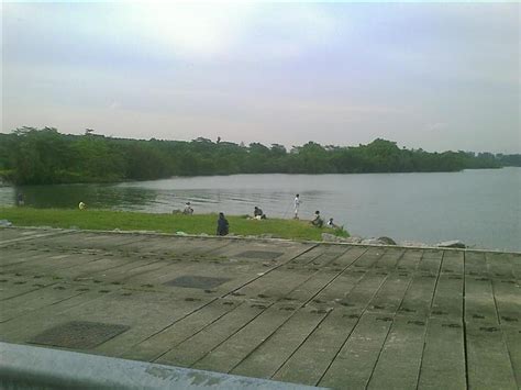 What the Fish!: Yishun Dam Luring