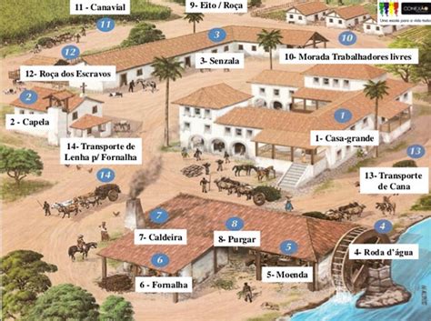 Engenhos de Cana de Açúcar no Brasil Colonial