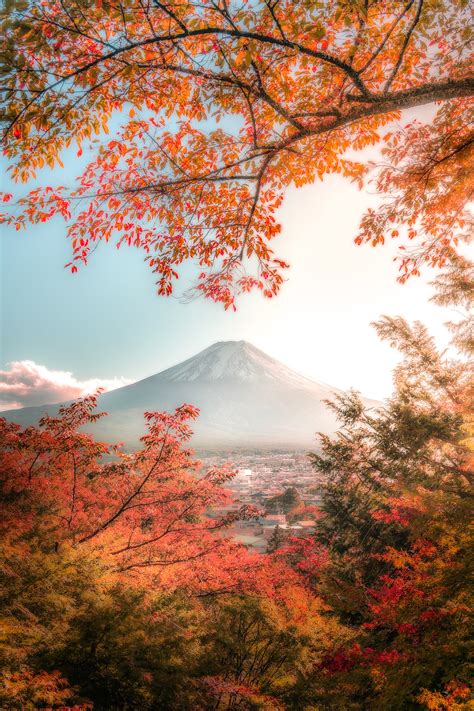 Four Seasons in Japan | Behance