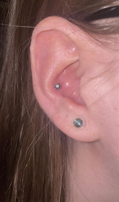 new conch jewelry top : r/piercing