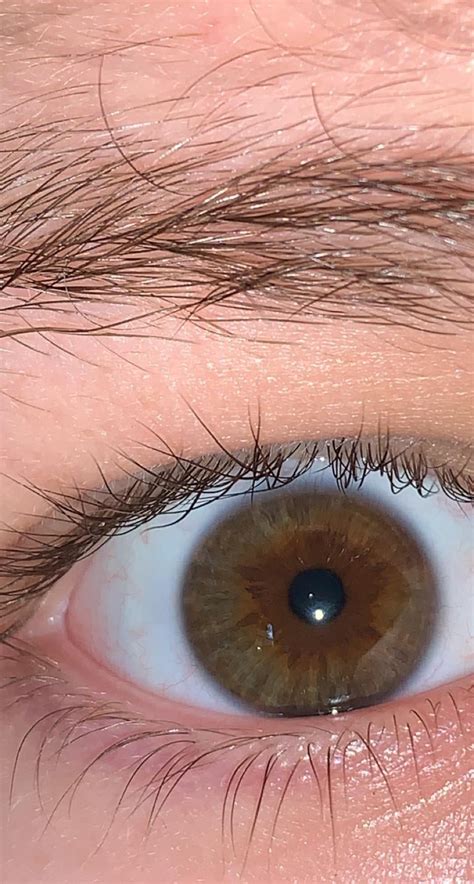 picture   eyes reyes