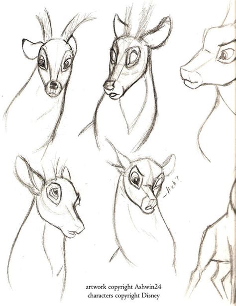 Sketchbook-Disney Deer v3 by Ashwin24 on DeviantArt