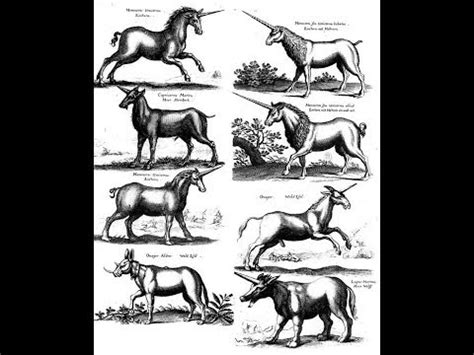 Единороги. Возвращение легенды. - YouTube