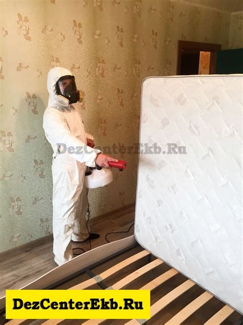 Уничтожение клопов и тараканов в Екатеринбурге - Служба СЭС