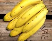 Banana Nanica Faz Mal - Banana Nanica Faz Mal Para Bebê? | Mundo Ecologia