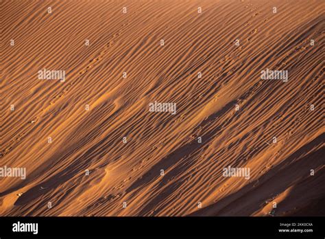 Patterns in the sand dunes of the Namib Desert at sunrise, in Namibia, Africa Stock Photo - Alamy