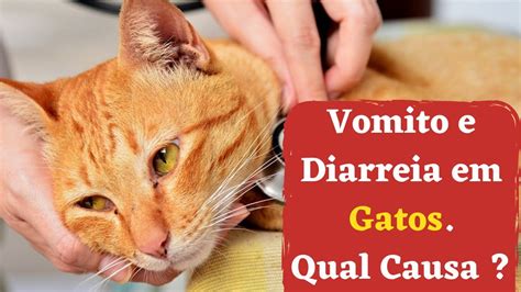 Gato Vomitando E Com Diarreia - 🔴VOMITO E DIARREIA em Gatos, [ o que pode causar] 🤒 - YouTube