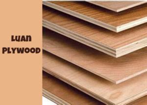 Luan Plywood: A Versatile Building Material - The Wood Carpenter