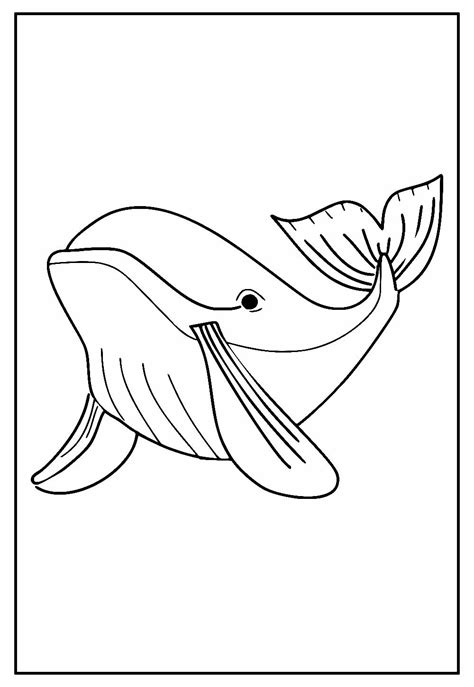 Desenhos de Baleia para colorir e pintar - Pinte Online
