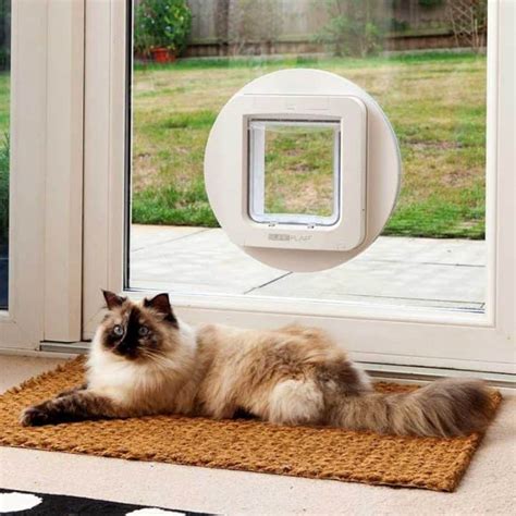 SureFlap Microchip Pet Door – Wicked Gadgetry